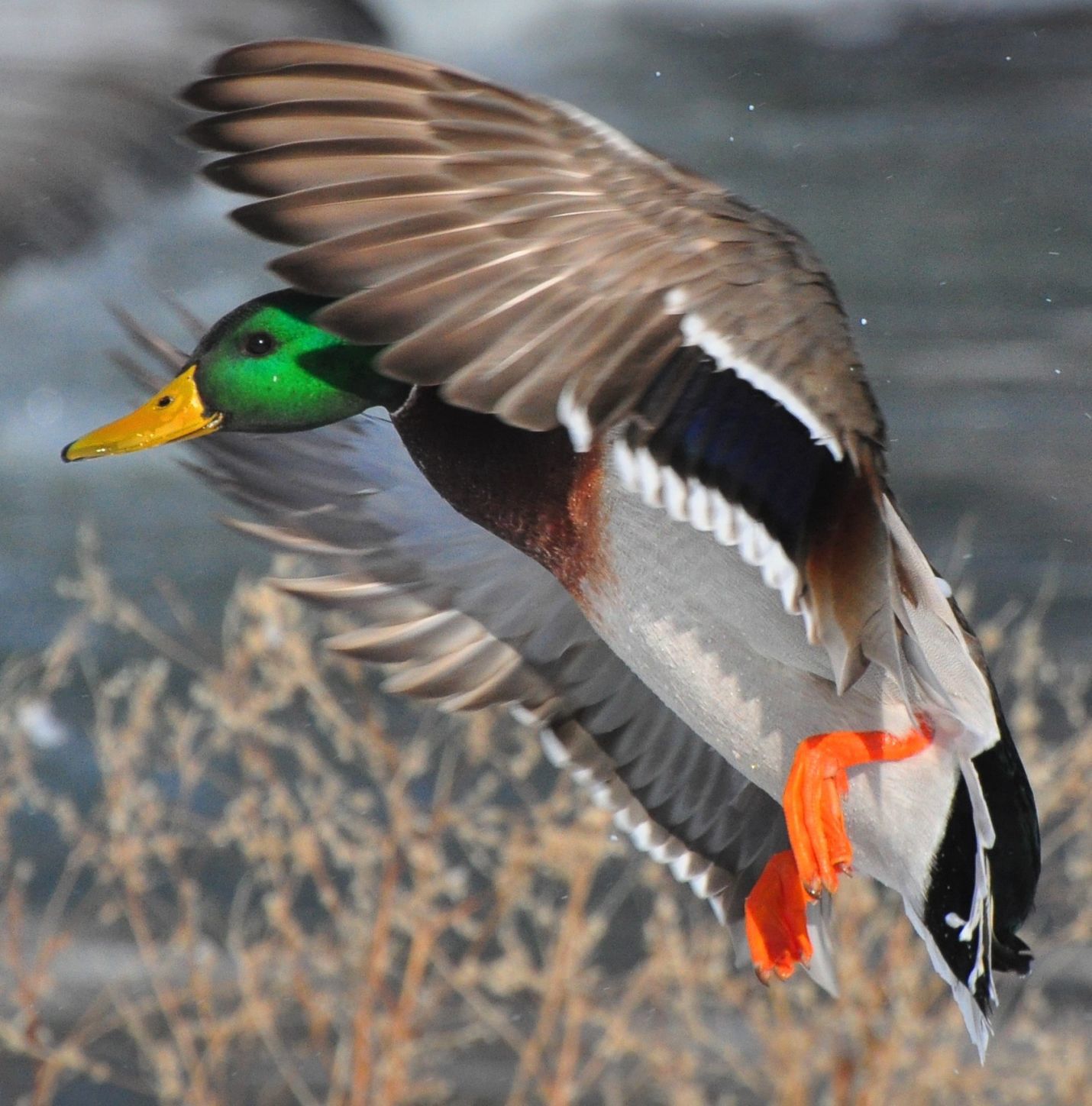 Washburn Outdoors